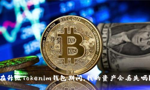 在升级Tokenim钱包期间，我的资产会丢失吗？
