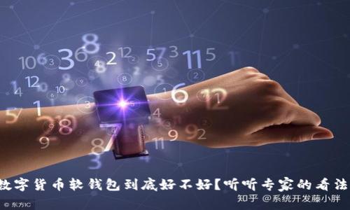 数字货币软钱包到底好不好？听听专家的看法！