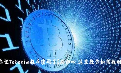 忘记Tokenim提币密码了?别担心,这里教你如何找回!