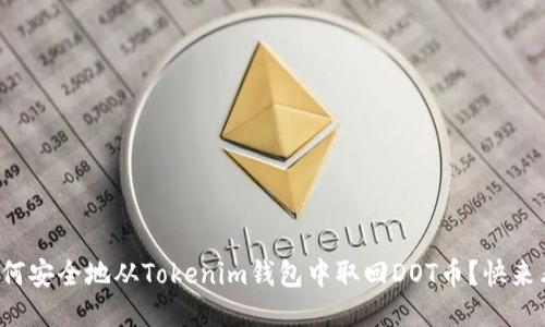如何安全地从Tokenim钱包中取回DOT币？快来看！