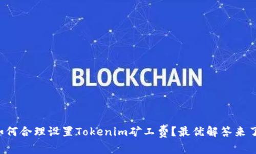 如何合理设置Tokenim矿工费？最优解答来了！