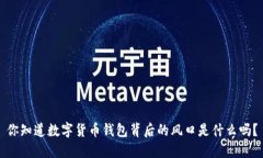 你知道数字货币钱包背后的风口是什么吗？