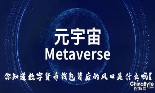 你知道数字货币钱包背后的风口是什么吗？