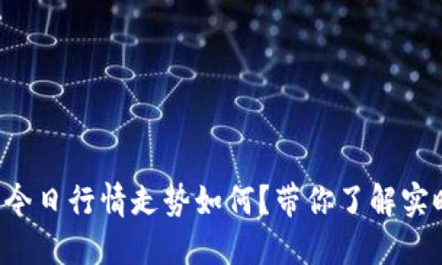 狗狗币今日行情走势如何？带你了解实时动态！