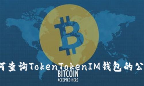 如何查询TokenTokenIM钱包的公钥？