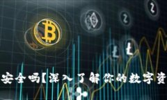 虚拟币钱包安全吗？深入了解你的数字资产保护