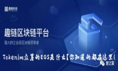 Tokenim众筹的EOS是什么？你知道的都在这里！