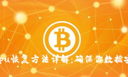 tokenimcpu恢复方法详解：确保你数据安全的指南
