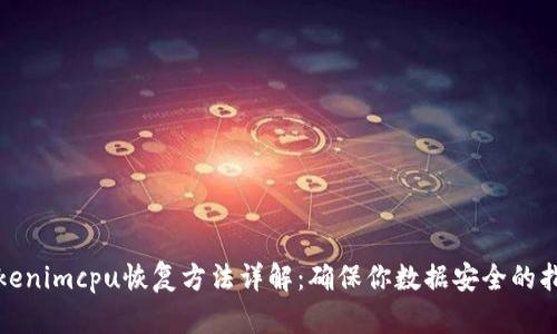 tokenimcpu恢复方法详解：确保你数据安全的指南
