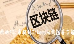 如何将交易所的FIL币提到Tokenim钱包并了解其价格