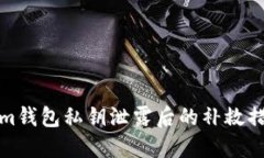 Tokenim钱包私钥泄露后的补救措施详解