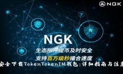 如何安全下载TokenTokenIM钱包：详细指南与注意事
