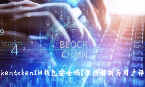 TokentokenIM钱包安全吗？深度解析与用户评测