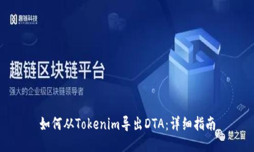如何从Tokenim导出DTA：详细指南