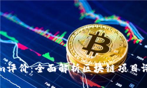 Tokenim评价：全面解析区块链项目评估工具