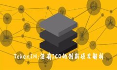 TokenIM：没有ICO的创新项目解析