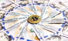 Tokenim: 能否将资产投资于狗狗币？