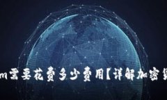 币放到Tokenim需要花费多少费用？详解加密货币转