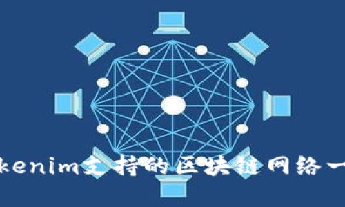 Tokenim支持的区块链网络一览