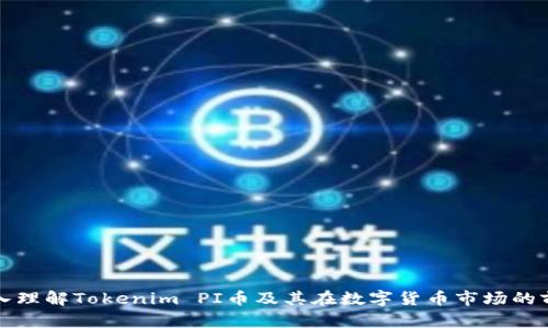 深入理解Tokenim PI币及其在数字货币市场的前景