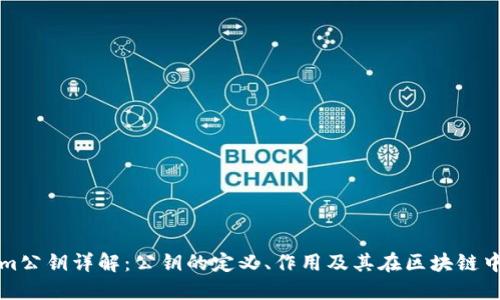 Tokenim公钥详解：公钥的定义、作用及其在区块链中的应用
