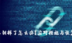 Tokenim私钥掉了怎么办？应对措施与恢复步骤详解