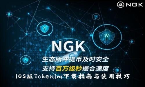 iOS版Tokenim下载指南与使用技巧