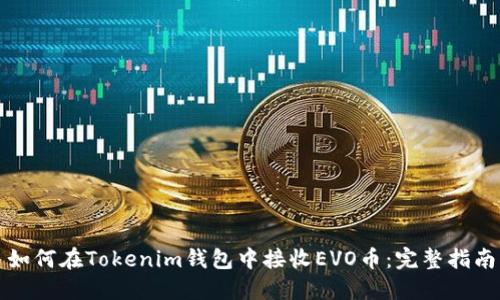 如何在Tokenim钱包中接收EVO币：完整指南