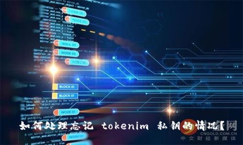 如何处理忘记 tokenim 私钥的情况？