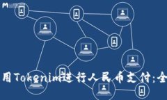如何使用Tokenim进行人民币支付：全面指南