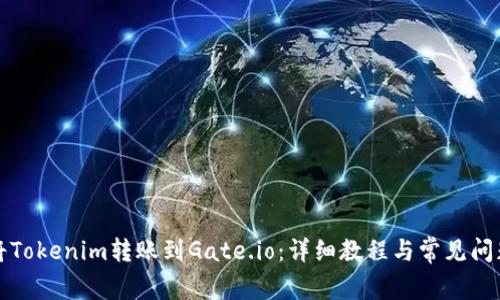 如何将Tokenim转账到Gate.io：详细教程与常见问题解答
