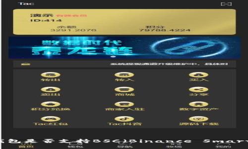 Tokenim钱包是否支持BSC（Binance Smart Chain）?