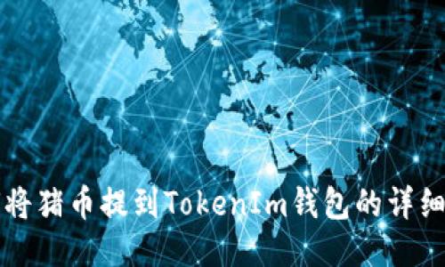 如何将猪币提到TokenIm钱包的详细指南