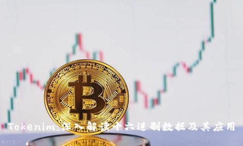 Tokenim：深入解读十六进制数据及其应用