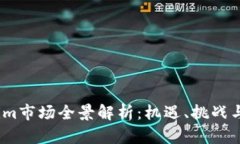 2023年Tokenim市场全景解析：机遇、挑战与未来发展