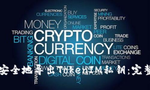 如何安全地导出TokenIM私钥：完整指南