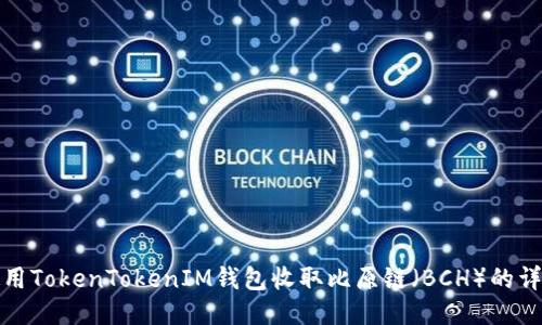如何使用TokenTokenIM钱包收取比原链（BCH）的详细教程