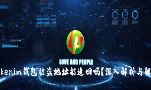 Tokenim钱包被盗地址能追回吗？深入解析与解答