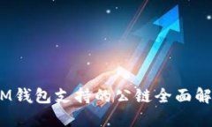 TokenTokenIM钱包支持的公链全面解析及使用指南