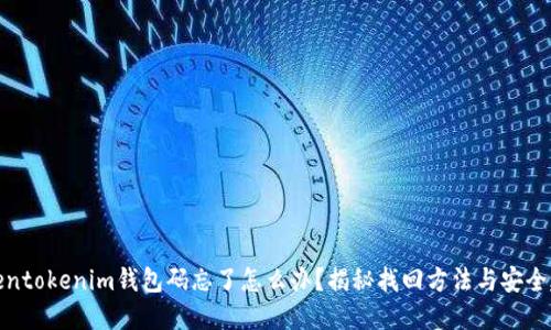 Tokentokenim钱包码忘了怎么办？揭秘找回方法与安全建议