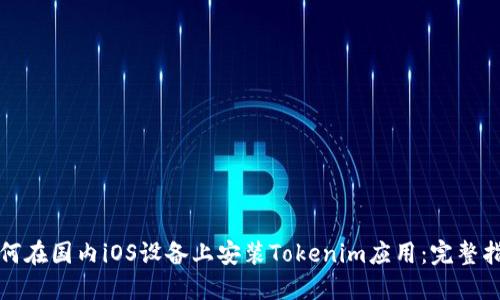 如何在国内iOS设备上安装Tokenim应用：完整指南