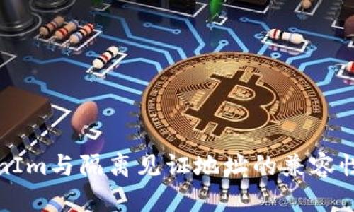 TokenIm与隔离见证地址的兼容性分析