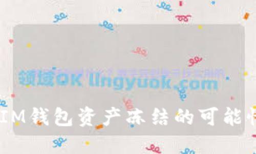 TokenTokenIM钱包资产冻结的可能性与解决方案